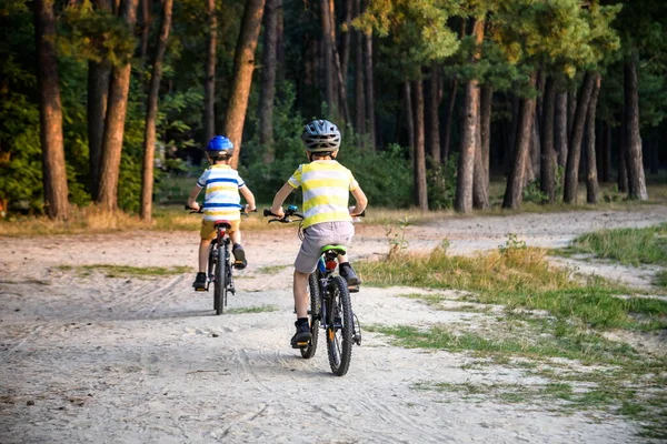 Familia Parque Bicicletas Dos Hermanos Hermanos Niños Niños Compiten Montar Imágenes de stock libres de derechos