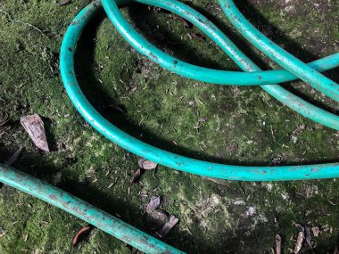 Green water hose for watering plants at ground level.