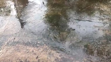 Yağmur damlaları yosunlu ve kaygan beton zemine düştü. 4K video klipleri