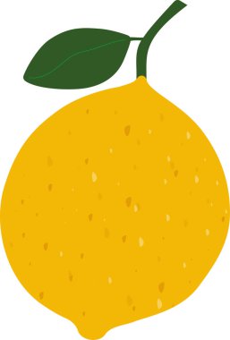 Beyaz arka planda yeşil yapraklı taze sarı limon. Vektör illüstrasyonu