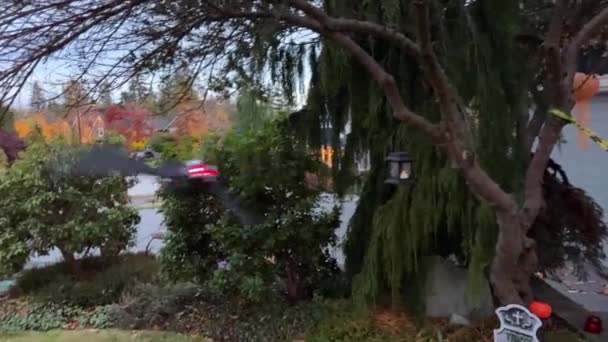 おもちゃのバットは木の近くで飛ぶ自宅でハロウィンの装飾は 様々な恐ろしいもので飾られています秋10月31日トリックや治療 — ストック動画