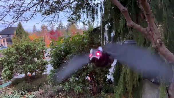 Moscas Morcego Brinquedo Perto Árvore Decorações Halloween Casa São Decoradas — Vídeo de Stock