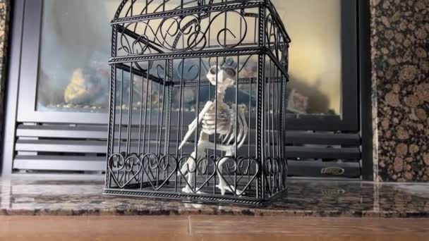 Esqueleto Pássaro Senta Uma Gaiola Halloween Pleno Balanço Close Decoração — Vídeo de Stock