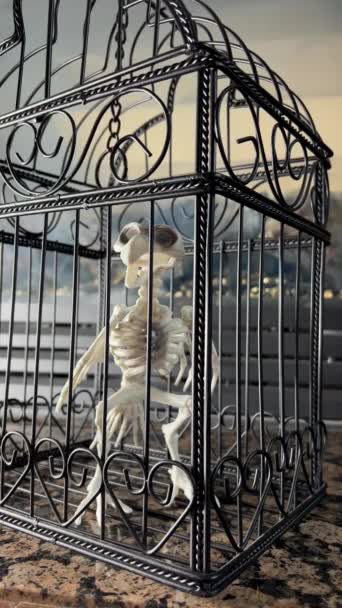 Squelette Oiseau Trouve Dans Une Cage Halloween Plein Essor Gros — Video