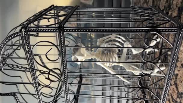 Vídeo Vertical Esqueleto Pássaro Senta Uma Gaiola Halloween Pleno Andamento — Vídeo de Stock