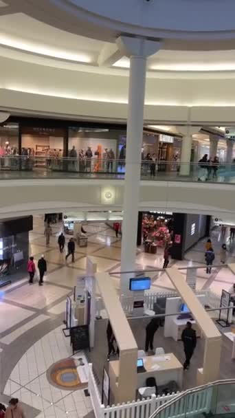 Mindenki Siet Hogy Menjen Saját Üzleti Több Emeleten Üzletek Lift — Stock videók
