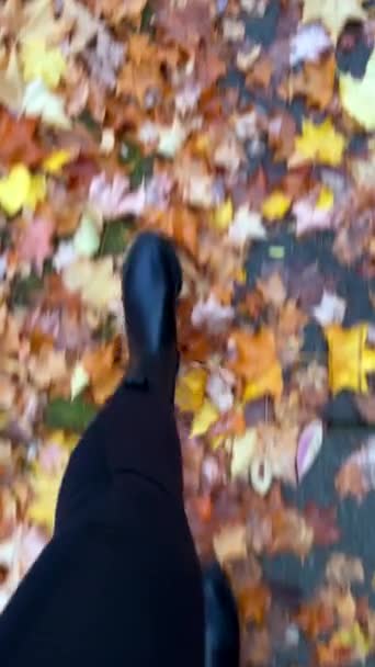 穿着靴子的腿 穿着黑色裤子 走在黄色树叶上 雨后湿淋淋的女人慢慢地走在潮湿的地面上 沥青秋天寒冷的时候插播视频 — 图库视频影像