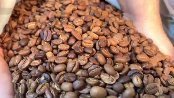 Ziarna Kawy Spadają Drewnianą Brązową Podłogę Usuwane Odbijając Się Stare — Wideo stockowe