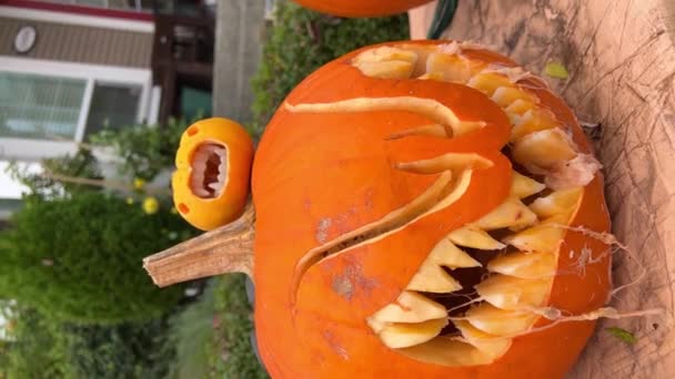 Art Carving Vegetables Fruits Carved Different Characters Faces Pumpkin Halloween — Stock Video