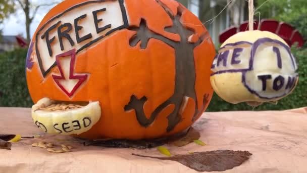 Kunst Udskæring Grøntsager Frugter Udskårne Forskellige Figurer Ansigter Græskar Halloween – Stock-video