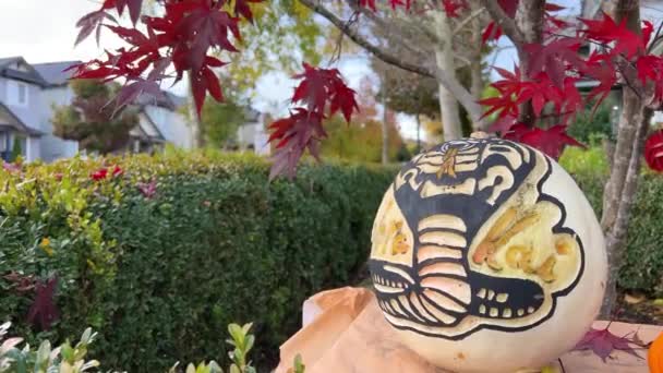 Art Carving Vegetables Fruits Carved Different Characters Faces Pumpkin Halloween — Stock video