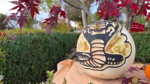 野菜の彫刻果物カボチャの彫刻秋の収穫祭のためのハロウィーンの装飾に異なる文字の顔を彫る白いカボチャのヘビの絵に黒いコブラメープルを背景に — ストック動画