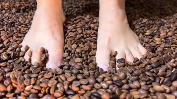 Feet Walking Old Grains Coffee Close Toes Wiggling Turning Beans — Stock Video