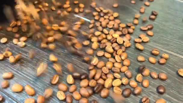 コーヒー豆のローストを閉じる蒸し ヒープ超遅い動きに落ちる茶色の芳香族粒子 朝の飲み物のためのグルメアラビカを準備します エネルギー飲料のための完璧な香り成分 — ストック動画