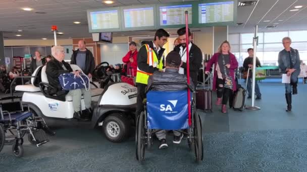 Les Employés Aéroport Aident Les Gens Rendre Sortie Fauteuil Roulant — Video
