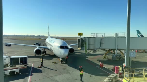 Αεροπορική Εταιρεία Westjet Man Ελεγκτή Κυκλοφορίας Αεροπλάνα Πλησιάζει Για Την — Αρχείο Βίντεο