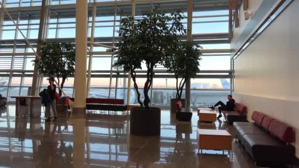 男は彼の飛行機を待っている彼の足で座っていますバックパックを持つ女性カルガリーの近くのカナダYyc空港全体の壁に大きな窓があり ポットで木を育てる18 2022カナダ — ストック動画