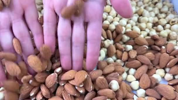 Hand Stroke Nuts Almonds Cashews Hazelnuts Manicure Glitters Pick Handful — Stock Video
