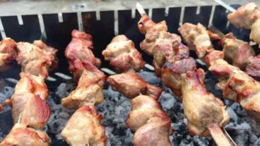 Izgara domuz kebabı et kebabı marine edilmiş kuzu kebap şiş kebap açık hava pikniği. Şiş kebap ya da Şiş kebap Doğu Avrupa ve Rusya 'da popülerdir. Kapat..