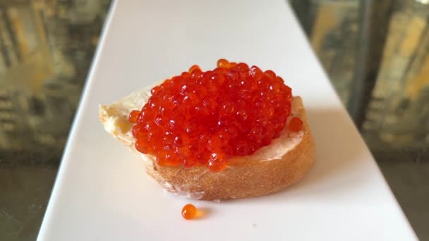 Sandwiche Red Caviar White Plate Gray Background Close Red Caviar — Video Stock