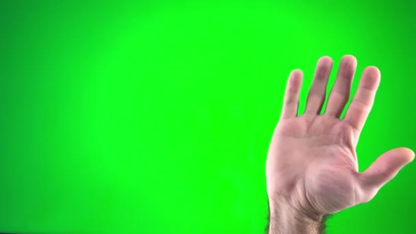 Male Hand Gesture Isolated Bright Green Screen Background Punch Symbolic — Video
