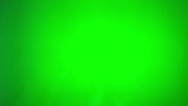 Female Hands Smooth Frame Which Green Background Chroma Key You — Vídeo de stock