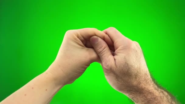 緑の背景クロマキー2つの手は女性の手を満たしています鳥の男性毛深い手はそれをキャッチそれをピンチクロス指で彼らはそれらを組み合わせて異なる側面を示しています — ストック動画
