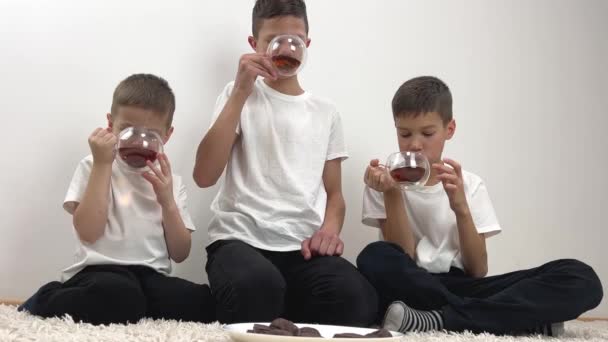 Children Three Boys Drink Tea Poured Transparent Glass Cups Double — Video Stock