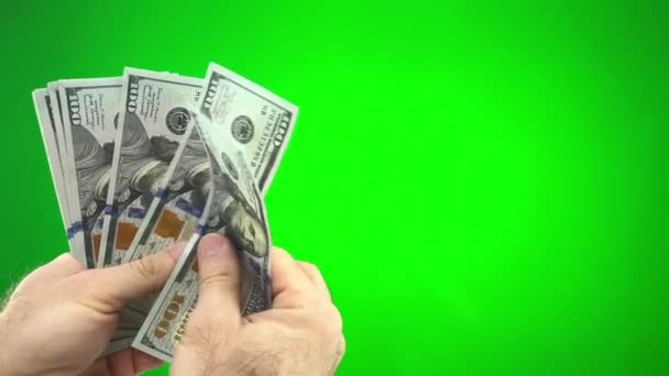 Mans Hands Closeup Counting United States Money Green Screen High — Video Stock
