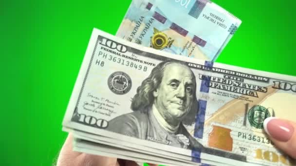Exchange Hryvnia Dollars Green Background Both Sides Hand Pass Dollars — Stock Video
