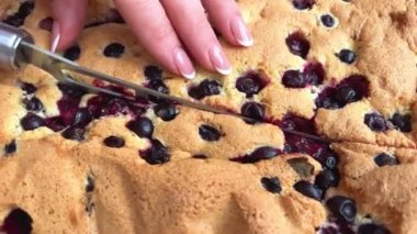 Cutting Birthday Blueberry Cheesecake Layer Cake WIth A Knife. Domestic Kitchen. Lifestyle. High quality 4k footage