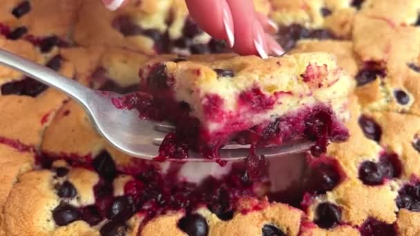 Eating Piece Velvet Cake Sprinkled Powdered Sugar Taking Bite Desert — Vídeo de stock