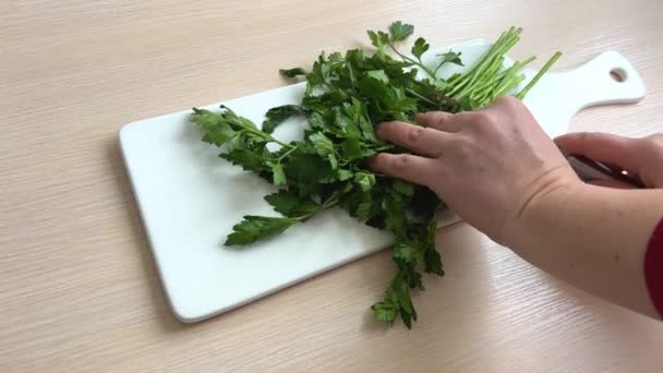 Parsley Being Patted Dry Leaves Being Removed High Quality Footage — Stok video