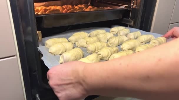 Female Hands Close Parchment Paper Oven Put Homemade Dough Sausages — Stock Video
