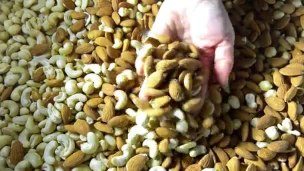 農家の手にナッツ 健康的な食事 菜食主義の食べ物や人々の概念 ナッツを屋外に保持する女性の手のクローズアップ 収穫期だ 高品質4K映像高品質4K映像 — ストック動画