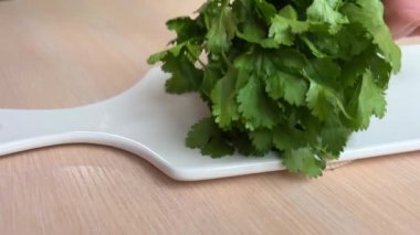 Close up footage of woman cutting fresh green cilantro leaves on wooden cutting board. One of ingredients for Tom Yam, Asian spicy soup. Cooking traditional food in kitchen at home High quality FullHD