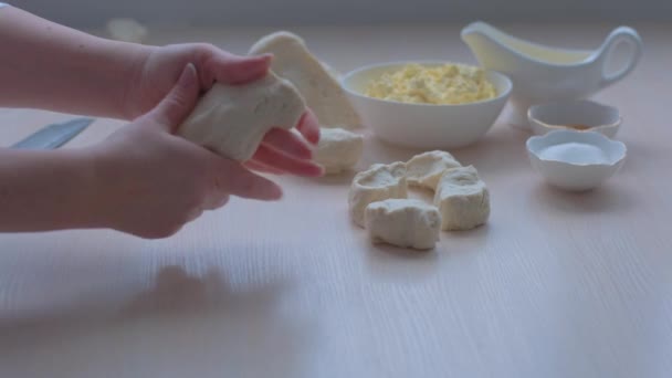 Experienced Chef Professional Kitchen Prepares Dough Flour Make Bio Italian — Stock video