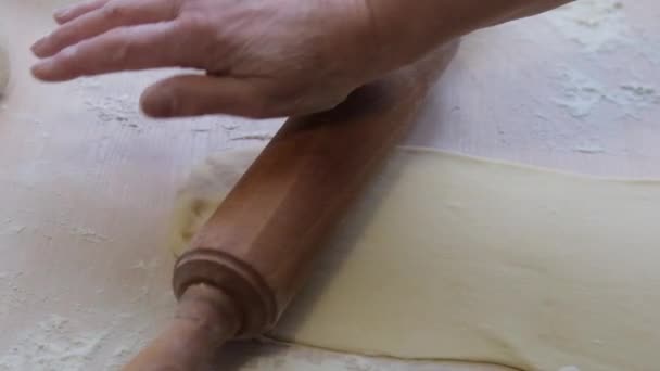 Homemade Baking Adult Woman Grandmother Prepares Delicious Pies Bread Pizza — Video Stock