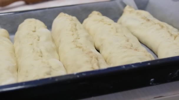 Yeast Should Work Dough Should Grow Several Times Homemade Pies — Vídeo de stock