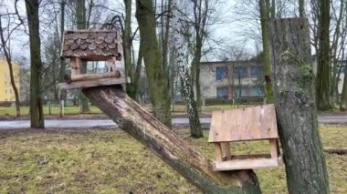 empty birdhouse bird feeder winter no snow autumn yellowed grass early spring cold chilly bored and uninteresting in background kindergarten no people emptiness silence around sad picture video