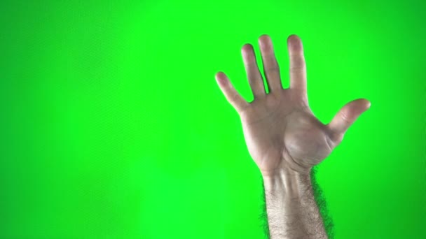 男は緑のクロマキーの背景にオープンヤシを示していますそれから彼らは再び指を開きます番号5フレームに手を振って広告テキストのためのそれは数回右側のスペースを行います — ストック動画