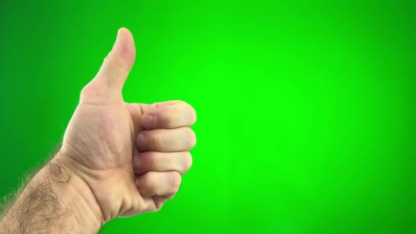 緑のクロマキー画面の中央にいる男の毛深い手が指を上げて良い製品を宣伝する彼の手の承認クラスを保持します — ストック動画