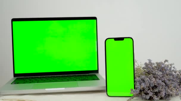 Wysuszone Kwiaty Lawendy Mockup Obrazu Laptop Tabletka Mobilny Pusty Zielony — Wideo stockowe