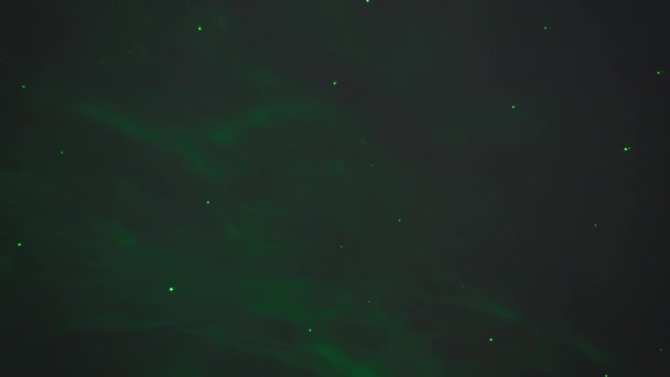 Темно Зеленый Фон Дефокусирует Фоновый Луп Наложения Ваш Проект Концептуальная — стоковое видео