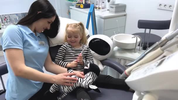 Детский Стоматолог Показывает Искусственной Челюсти Чистить Зубы Маленькая Пациентка Сидит — стоковое видео