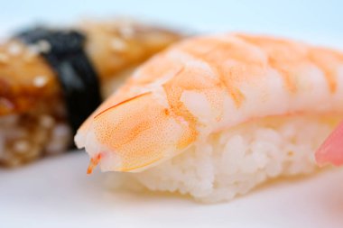 Two shrimp nigiri sushi sushi with eel on white background with reflection. High quality photo