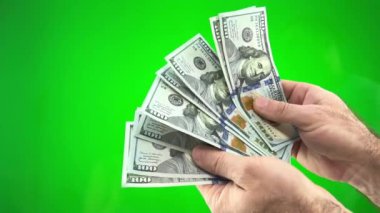Man Counting Dollar Notes isolated on green screen background. Close up. High quality 4k footage