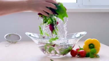 Super Slow Motion Shot of Flying Cuts of Colorful Vegetables and Water Drops Close up of hands people washing vegetables by tap water at the sink in kitchen to clean ingredient prepare a fresh salad
