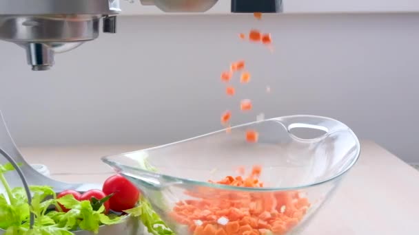 Procesador Alimentos Procesa Verduras Finamente Cortadas Cuadrados Cuadrados Incluso Zanahorias — Vídeos de Stock
