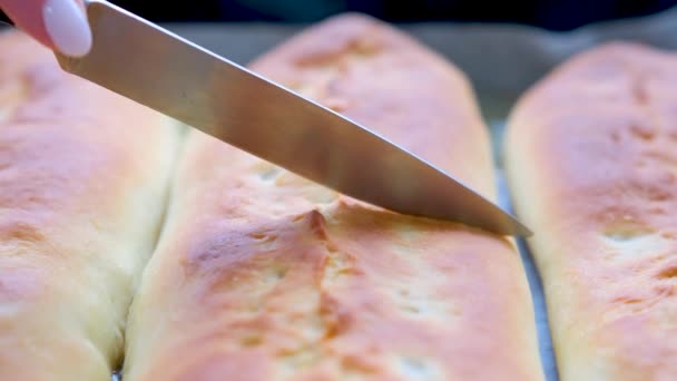 Sharp Knife Cuts Soft Dough Toasted Pies Fresh Out Oven — 图库视频影像